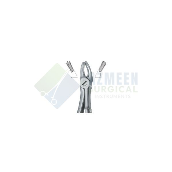 Molars , Right 39R