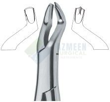Molars , Left 53L