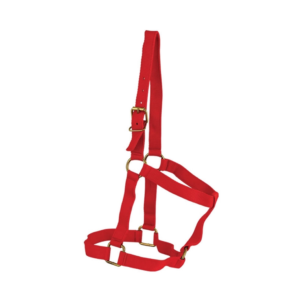 Nylon Halters