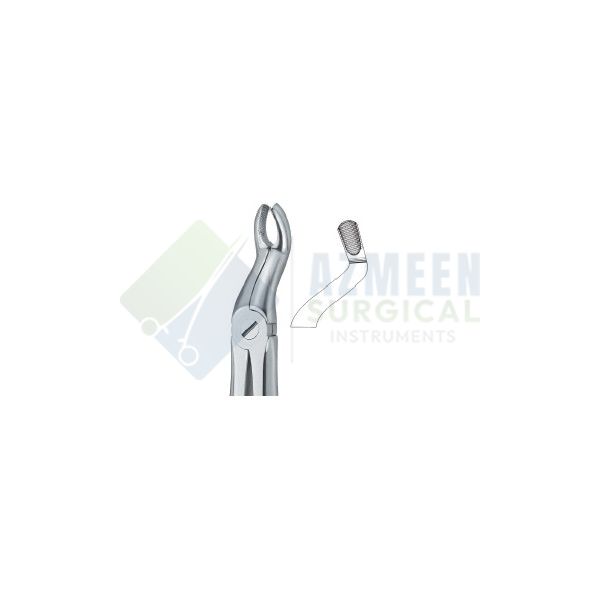 Third Molars 67 A