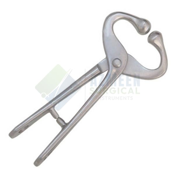 Bull Holder