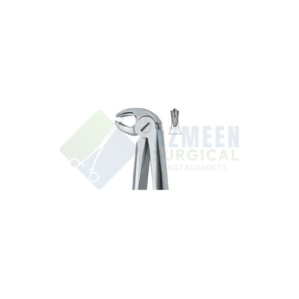 Lower Molars ,Universal 22